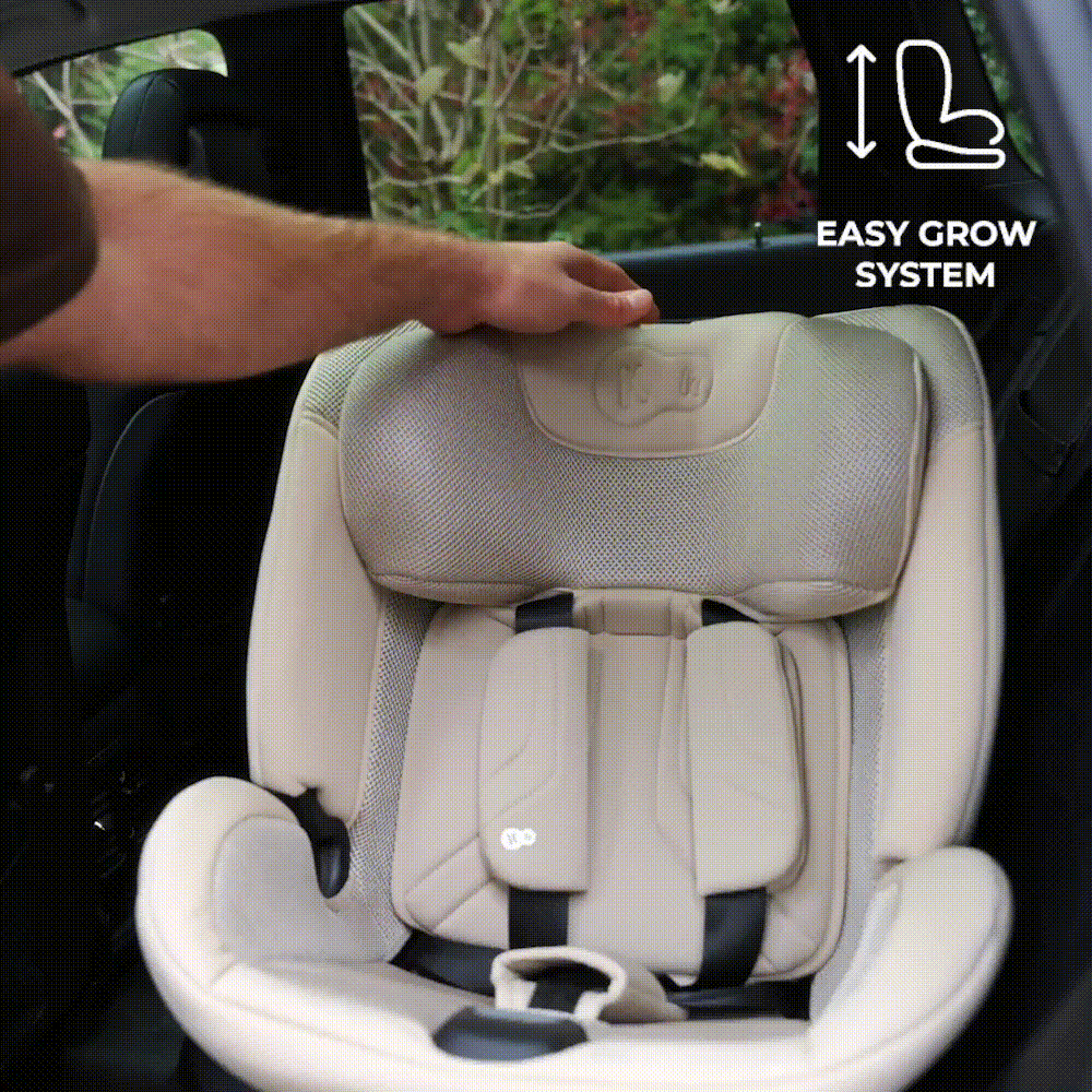 Hệ thống điều chỉnh đa cấp